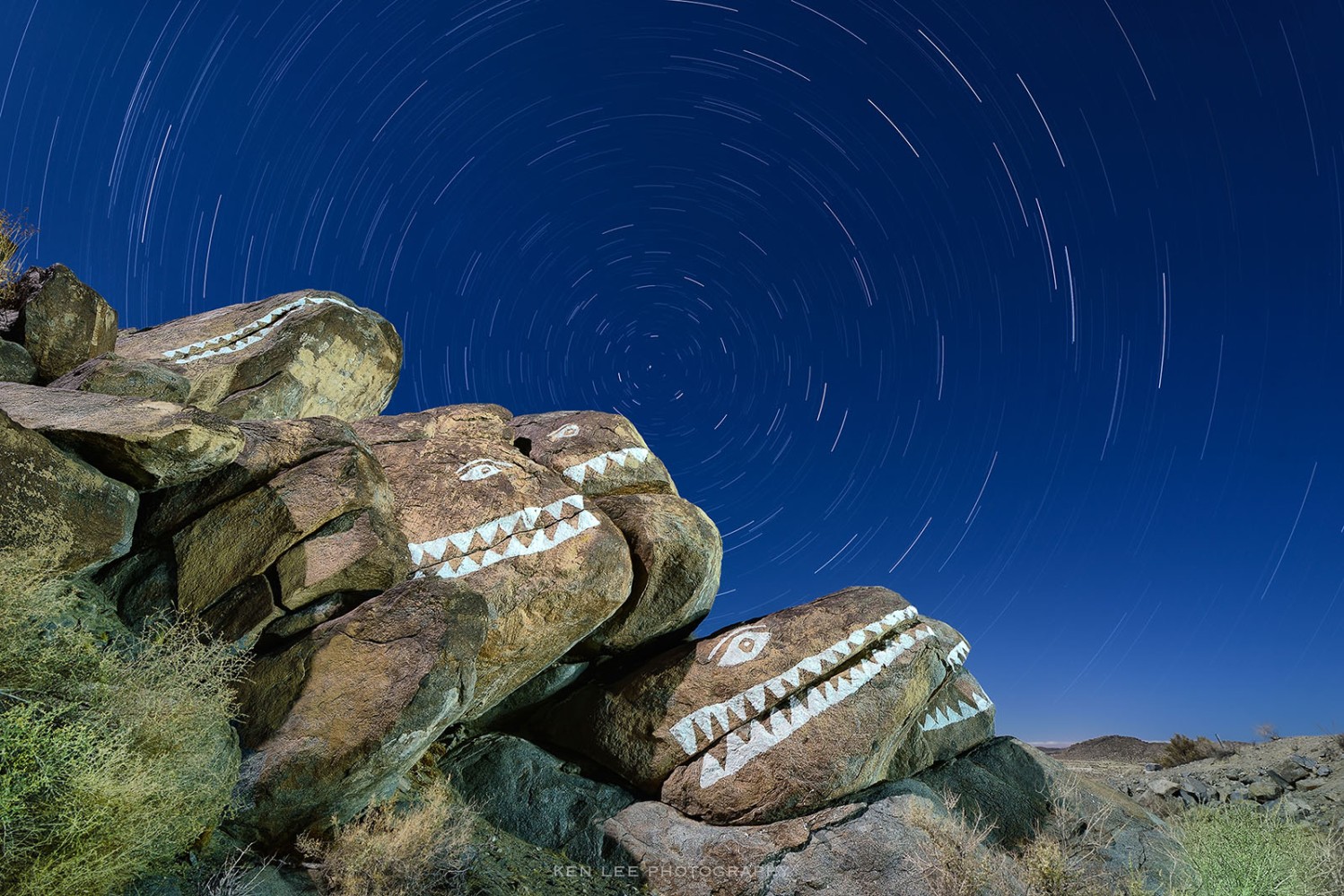 Fish heads, fish heads, roly poly fish heads. This is a long exposure night photo showing the celestial movements over a long period of time.